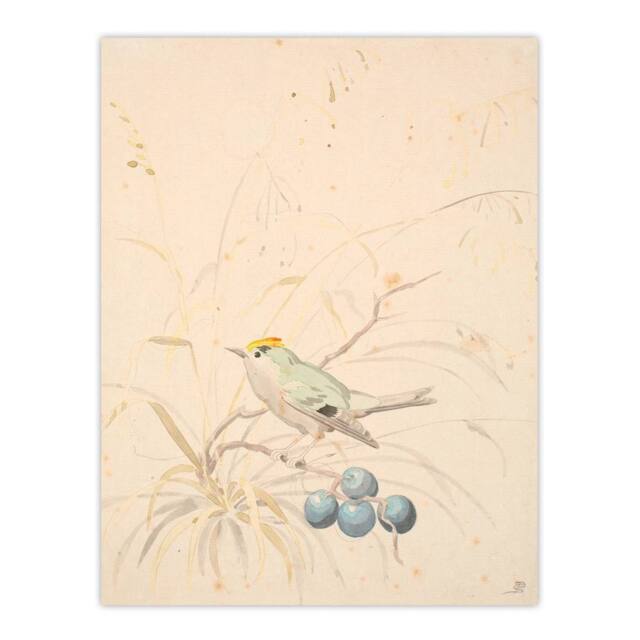 "Artery8 PC Skovgaard Kingbird on a Meadow Branch Wall Art Print in Beige - Size: W12"" x H16""" - image 1