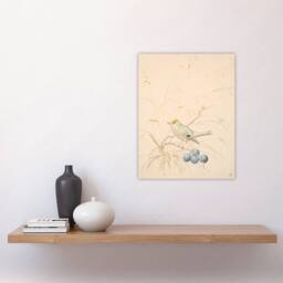 "Artery8 PC Skovgaard Kingbird on a Meadow Branch Wall Art Print in Beige - Size: W12"" x H16""" - thumbnail 4