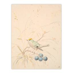 "Artery8 PC Skovgaard Kingbird on a Meadow Branch Wall Art Print in Beige - Size: W12"" x H16""" - thumbnail 1