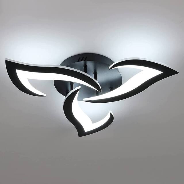 Pheashine Modern Acrylic LED Ceiling Light, 36W, Black, 6500K White Light (60cm) in Black - image 1
