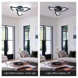 Pheashine Modern Acrylic LED Ceiling Light, 36W, Black, 6500K White Light (60cm) in Black - thumbnail 4