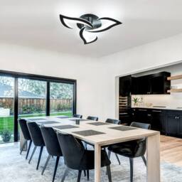 Pheashine Modern Acrylic LED Ceiling Light, 36W, Black, 6500K White Light (60cm) in Black - thumbnail 2