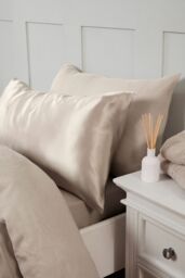 Silky Silks 100% Mulberry Silk Standard Pillowcase in Beige - Size: Standard Pillow Case