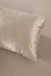 Silky Silks 100% Mulberry Silk Standard Pillowcase in Beige - Size: Standard Pillow Case - thumbnail 4