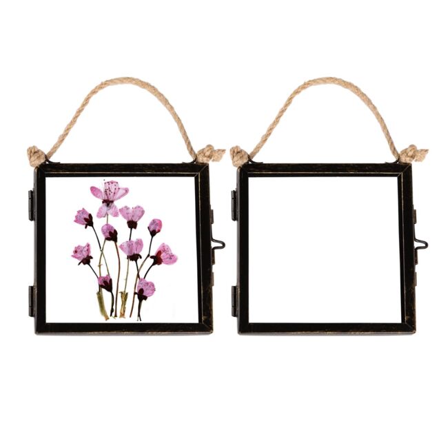 "Nicola Spring 2x Hanging Metal Photo Frames - 4"" x 4"" - Black - Picture Frame Wall Mounted Frame with Rope" - image 1