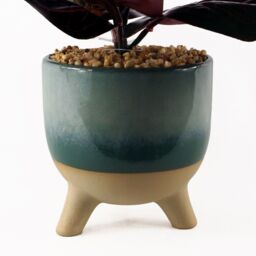 Leaf 35cm Artificial Ficus Plant with Teal Blue Green Ceramic Planter - thumbnail 2