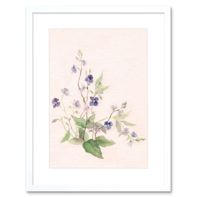 "Artery8 Wall Art Print Flower Veronica Watercolour Art Framed 9x7 inch in White - Size: W7"" x H9""" - image 1
