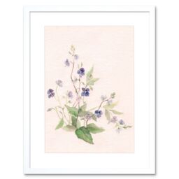 "Artery8 Wall Art Print Flower Veronica Watercolour Art Framed 9x7 inch in White - Size: W7"" x H9""" - thumbnail 1