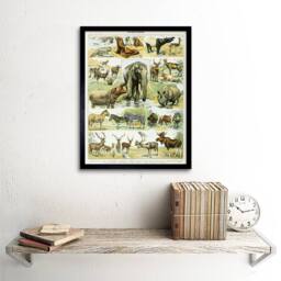 "Artery8 Millot Encyclopedia Page Mammals Rhino Hippo 12x16"" Framed Art Print - Size: W12"" x H16""" - thumbnail 2