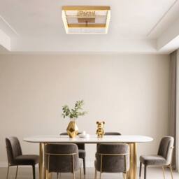 NIVOR 20W LED Ceiling Lamp Gold Clear Seeded Acrylic Round Warm Light - thumbnail 9