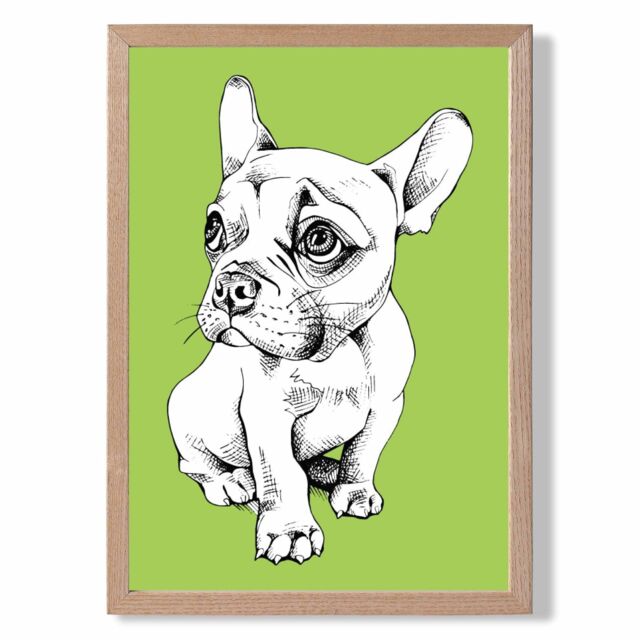 ARTZE Sketch French Bulldog on Bright Green Framed Print SIZE: A3 with Oak Frame - image 1