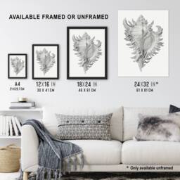 "Artery8 Whelk Sea Snail Shell Drawing Haeckel Botanical Wall Art Print Poster in White - Size: W12"" x H16""" - thumbnail 3