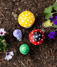 Marco Paul Pack of 4 Multi Coloured Toadstools Secret Fairy Garden Ornaments Plant Mushrooms - thumbnail 3