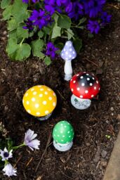 Marco Paul Pack of 4 Multi Coloured Toadstools Secret Fairy Garden Ornaments Plant Mushrooms - thumbnail 5