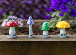 Marco Paul Pack of 4 Multi Coloured Toadstools Secret Fairy Garden Ornaments Plant Mushrooms - thumbnail 4