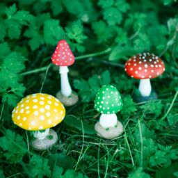Marco Paul Pack of 4 Multi Coloured Toadstools Secret Fairy Garden Ornaments Plant Mushrooms - thumbnail 2