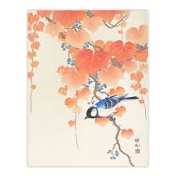 Artery8 Ohara Koson Framed Wall Art Print Great Tit On Paulownia Branch in Orange - Size: A4 - thumbnail 3