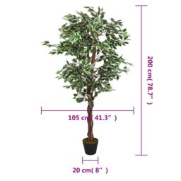 Berkfield Home Artificial Ficus Tree 1260 Leaves 200 cm Green - thumbnail 5