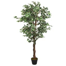 Berkfield Home Artificial Ficus Tree 1260 Leaves 200 cm Green - thumbnail 1
