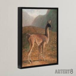 "Artery8 Guanaco Llama in Mountain Landscape Agasse Black Framed Canvas Art - Size: W12"" x H16""" - thumbnail 2