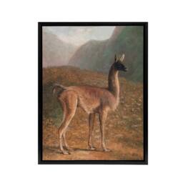 "Artery8 Guanaco Llama in Mountain Landscape Agasse Black Framed Canvas Art - Size: W12"" x H16""" - thumbnail 1