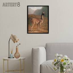"Artery8 Guanaco Llama in Mountain Landscape Agasse Black Framed Canvas Art - Size: W12"" x H16""" - thumbnail 3