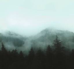 Superfresco Easy Misty Landscape Teal Print To Order 3m x 2.8m Mural in Blue - thumbnail 2