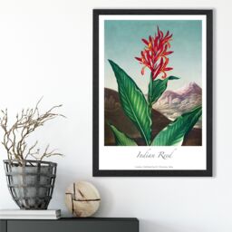 ARTZE Vintage Floral Exhibition - Indian Reed Framed Print SIZE: A2 with Black Frame in Red - Size: A4 - thumbnail 2