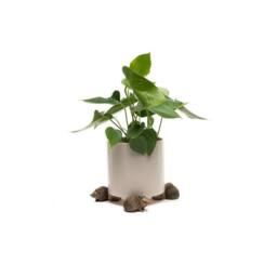 Jardinopia Hedgehog Plant Pot Feet - Set of 3 - L8 x W7 x H4.5 cm in Bronze - thumbnail 4