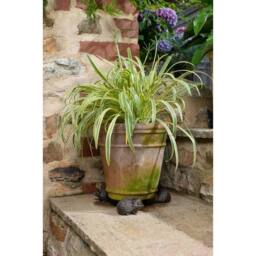 Jardinopia Hedgehog Plant Pot Feet - Set of 3 - L8 x W7 x H4.5 cm in Bronze - thumbnail 5