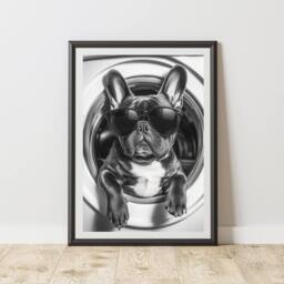 60 SECOND MAKEOVER French Bulldog In Tumble Drier Print Wall Art - Size: A4 - thumbnail 1