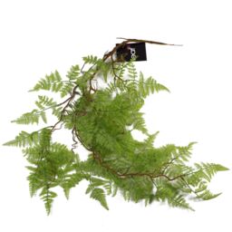 Leaf 100cm Artificial Hanging Maidenhair Fern Plant Light Green - thumbnail 4