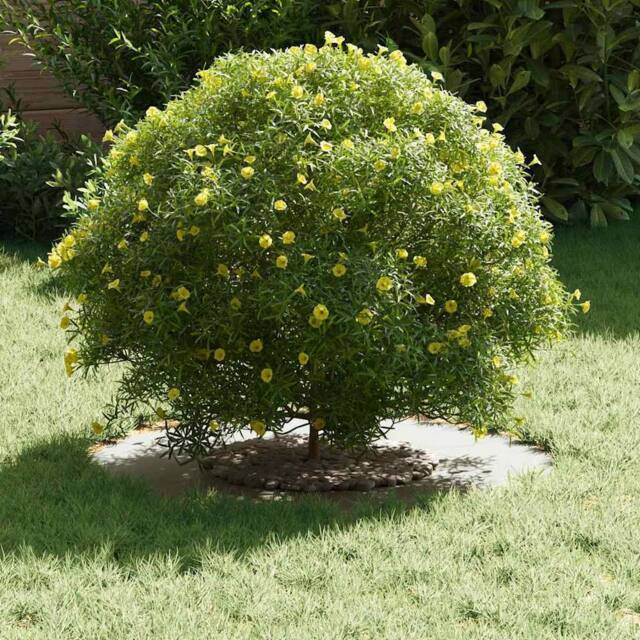 Berkfield Home Plastic Planter White Plastic Large Plastic Planter Round - image 1
