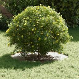 Berkfield Home Plastic Planter White Plastic Large Plastic Planter Round