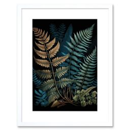"Artery8 Wall Art Print Detailed Botanical Fern Frond Species Artwork Framed 9X7 Inch in White - Size: W7"" x H9""" - thumbnail 1