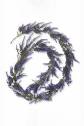 Homescapes Artificial Lavender Garland, 190cm, Purple - thumbnail 4