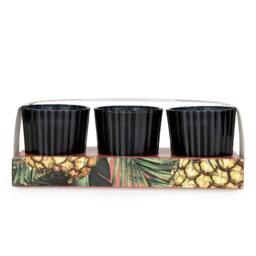 Candlelight Set of 3 Mini Votive Candles Pineapple & Coconut in Black - thumbnail 2