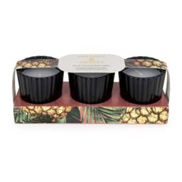 Candlelight Set of 3 Mini Votive Candles Pineapple & Coconut in Black