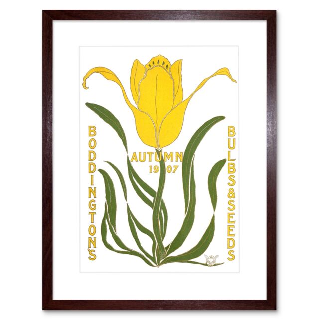 "Artery8 Wall Art Print Boddingtons Bulbs Seeds Autumn 1907 Artwork Framed 9X7 Inch in Brown - Size: W7"" x H9""" - image 1