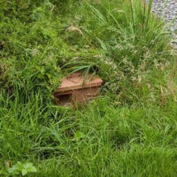 Buttercup Farm Hedgehog Nest Box - Plywood - L47 x W38 x H22 cm in Brown - thumbnail 3