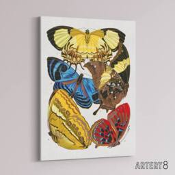 "Artery8 Vintage Butterflies Yellow Red Blue Canvas Wall Art Print Seguy - Size: W24"" x H32""" - thumbnail 2