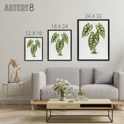 "Artery8 AF Lydon B Fawcett Caladium Humboldtii Leaves Framed Canvas Art Print in White - Size: W12"" x H16""" - thumbnail 4