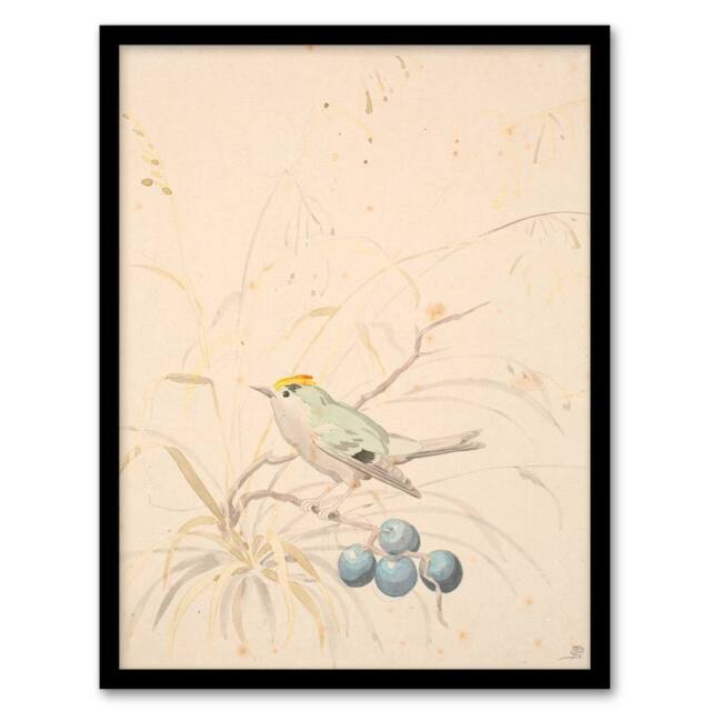 Artery8 PC Skovgaard Kingbird on a Meadow Branch Framed Wall Art Print in Beige - Size: A4 - image 1