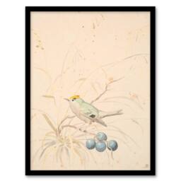Artery8 PC Skovgaard Kingbird on a Meadow Branch Framed Wall Art Print in Beige - Size: A4 - thumbnail 1
