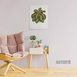 "Artery8 Lydon & Fawcett Eranthemum Igneum Golden Vein Plant Canvas Art Print in White - Size: W12"" x H16""" - thumbnail 3