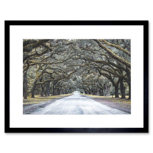 "Artery8 Wall Art Print Cassell Tree Tunnel Road Framed in Black - Size: W7"" x H9""" - image 1