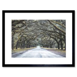 "Artery8 Wall Art Print Cassell Tree Tunnel Road Framed in Black - Size: W7"" x H9""" - thumbnail 1