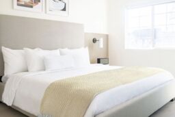 New Edge Blinds Chevron Collection Cotton Throw in Yellow - Size: 228 cm x 254 cm - thumbnail 4