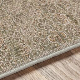 Livabliss Galey Alix Myrtle Avenue II Vintage Brown Green Grey Traditional Boho Fringe Living Rug - Size: 160 cm x 230 cm - thumbnail 6
