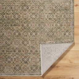 Livabliss Galey Alix Myrtle Avenue II Vintage Brown Green Grey Traditional Boho Fringe Living Rug - Size: 160 cm x 230 cm - thumbnail 4